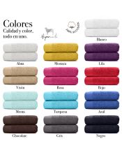 Juego de 2 Toallas ducha 70x140cm algodón 500 grm 